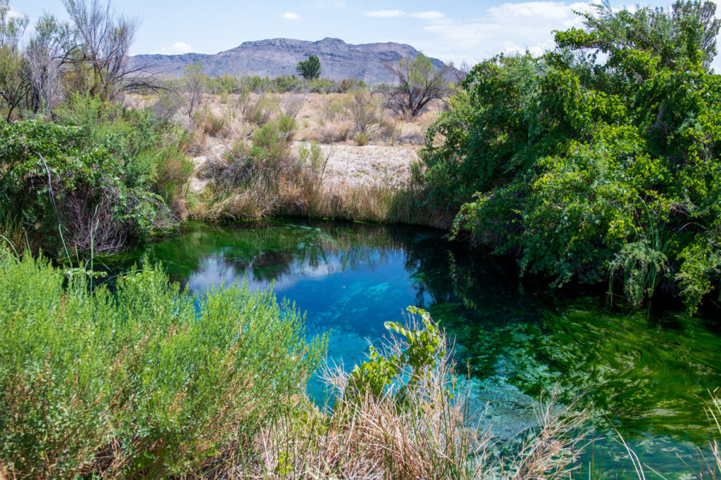 Crystal Spring im Amargosa Valley